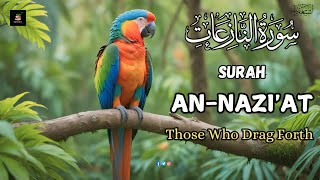 SURAH AN NAZIAT سورة النازعات  Beautiful Quran Recitation For Peace  Quran Al Shifa Tv [upl. by Athalia67]