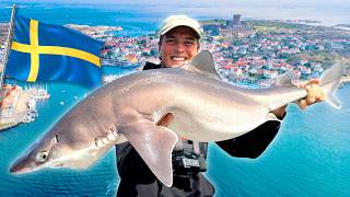 WE CATCH 100 SHARKS IN SWEDEN 🦈 🇸🇪 [upl. by Lokcin]