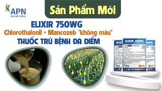 APN  HOẠT CHẤT MỚI CHUYÊN TRỊ THÁN THƯ GỈ SẮT SƯƠNG MAI NẤM CÓC ĐỐM VÒNG CHÁY CHÓP LÁ [upl. by Dleifxam335]