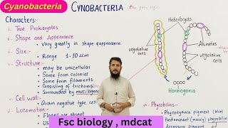 Cyanobacteria  structure and characteristics of cyanobacteria  class 11 [upl. by Son979]