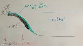 La formation dun combustible fossile  lexemple du charbon Programme de seconde [upl. by Linda668]