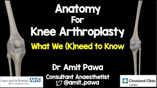 Innervation of the Knee amp Regional Anaesthesia [upl. by Keven]