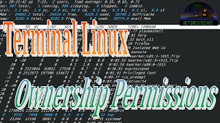 Terminal Linux  FileFolder Ownership and Permissions [upl. by Riley]