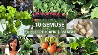 10 GEMÜSE die du im FRÜHJAHR auf dem BALKON anbauen kannst [upl. by Arayk553]