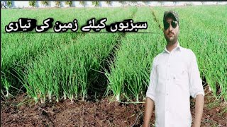 home gardening  kitchen gardening  gardening umeryvlogs007 Umeryvlogs007 [upl. by Ddej]