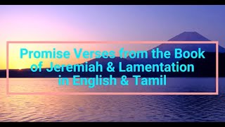 Promise Verses from the book of Jeremiah amp LamentationBible Verses [upl. by Rempe]