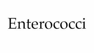 How to Pronounce Enterococci [upl. by Enilrad590]