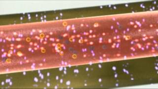 Faszination Laser Teil 2  Wie funktioniert ein Laser [upl. by Aneba]