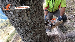 Stihl 500 i und GM Tech Schlagschrauber keil im Einsatz [upl. by Nathanson]