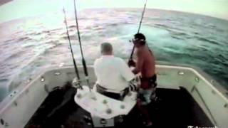 Fisherman falls overboard from Marlin attack [upl. by Eulalie]