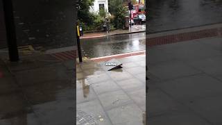 Never get close to a dncing manhole cover shorts youtubeshorts facts amazingfacts [upl. by Anaujat12]