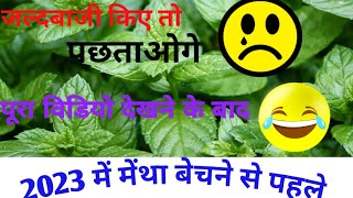 मेंथा तेल का रेट कब बढ़ता है mentha oil rate kab badega 2023 [upl. by Odnamra]