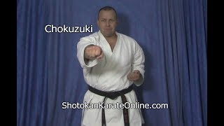 Chokuzuki Straight Punch Shotokan Karate [upl. by Mellette]