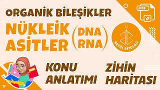 Nükleik Asitler DNA  RNA  TYT Biyoloji  9 Sınıf Biyoloji  PDF DNA RNA YKS2022 [upl. by Nunnery]