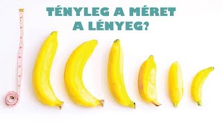 A méret a lényeg  hormonmentes [upl. by Nawrocki]