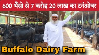 बड़ा भाई 28 साल सऊदी में कामकर 600 भैंसो का Farm बनाया छोटे भाइयों के लिए  Big Buffalo Dairy Farm [upl. by Acinorrev]