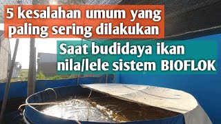 5 KESALAHAN UMUM YANG SERING DILAKUKAN PEMBUDIDAYA IKAN NILALELE SISTEM BIOFLOK [upl. by Acirrej]