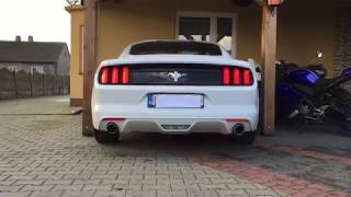 2016 Ford Mustang 37 V6 305KM  cold start  dźwięk  muffler delete [upl. by Bornie]