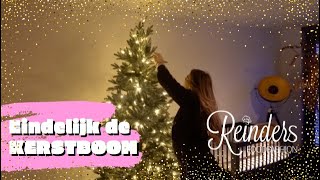 DE KERSTBOOM OPTUIGEN amp ZWANGERSCHAPSKWAALTJES  RFF MOVIE [upl. by Pincas]