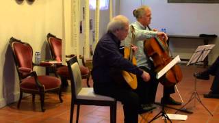 Radamés Gnattali  Sonata for Guitar and Cello Paulo Pedrassoliguitar amp Jed Barahalcello [upl. by Patsy236]