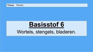 VMBO 4  Planten  Basisstof 6 Wortels stengels en bladeren [upl. by Glover]