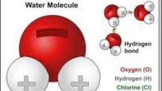 Unlocking the secrets of waterWhy its the universal solvent tayyebaaqeel2560 [upl. by Ulick]