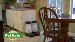 PetSafe Healthy Pet Food and Water Station [upl. by Neeneg]