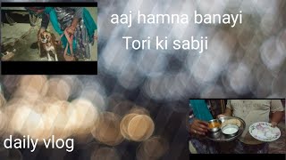 Aaj humne banai Tori ki sabji 😋 [upl. by Aveer]