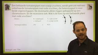 Biologie van Tim  Gekoppelde overerving [upl. by Marilla251]