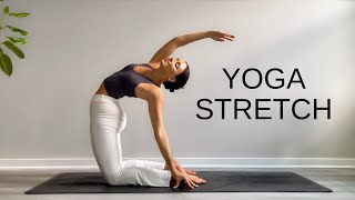 15 Minute Yoga Stretch Break  Open Your Body amp Feel Amazing [upl. by Flory]