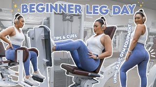 BEGINNER LEG DAY  Using Basic Gym Equipment [upl. by Nagud863]