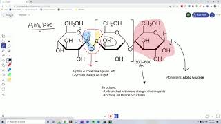 QCAA Chemistry Distinguishing Between Amylose Amylopectin Cellulose and Glycogen [upl. by Seldan]