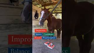 Horse on Stability Pads benefits of stability pads [upl. by Eillor]