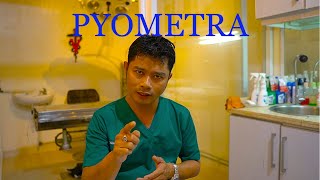 PYOMETRA [upl. by Maze]