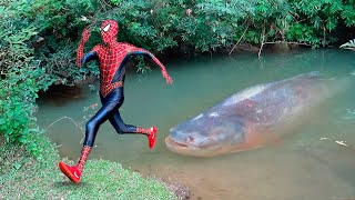 Homem Aranha e o Monstro Peixe Aranha Histórias de SUPER HERÓIS [upl. by Lou]