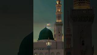 Wo haasmi makki madani Ulla Rafi hai 🕋trendingvideo islamicshorts islamicshortsvideo [upl. by Entwistle]