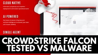 Crowdstrike Falcon Review  Tested vs Malware [upl. by Cassie]