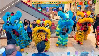 Blue amp Yellow Lion Dance [upl. by Alywt27]