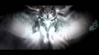 The Qontinent 2013  Official Trailer [upl. by Sewel692]