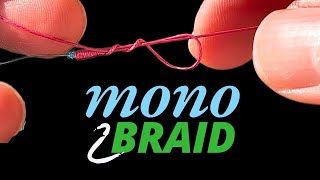 Mono to Braid Knot Master in Minutes [upl. by Christoffer]