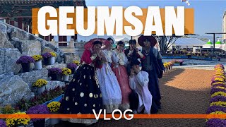 외국인을 위한 금산 인삼 축제 브이로그  Geumsan Ginseng Festival Vlog for Foreigners  with Vietnamese Subtitles [upl. by Dorris]