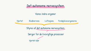 Nervesystemet Det autonome nervesystem [upl. by Atiuqat978]