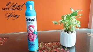 Odonil Destinations Room Air Freshener Spray Review amp Demo  Odonil Destinations Air Freshener Spray [upl. by Nnair]