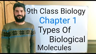 What are the types of biological molecules on the basis of molecular weight  Biological Molecules [upl. by Ellora]