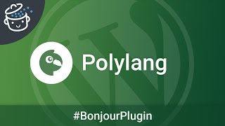 Polylang le plugin multilingue pour votre site WordPress  🔌 Bonjour Plugin 12 [upl. by Nolyd]