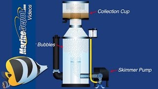 QampA Series 9 What makes a quotgoodquot protein skimmer [upl. by Celik526]