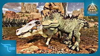 MECOBA TAMING DAEODON DAN MENDAPATKAN BAYI CERATOSAURUS EPS 11  ARK Scorched Earth Ascended [upl. by Witte]