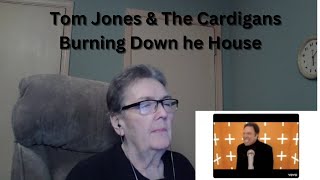 Burning Down The HouseTom Jones amp The Cardigans [upl. by Emawk]