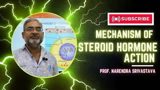 Steroid Hormone ll Mechanism of Action [upl. by Ralph]