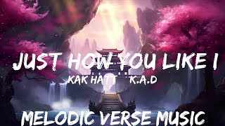 KAK HATT amp KAD  Just How You Like It Lyrics  25mins  Feeling your music [upl. by Carrissa]